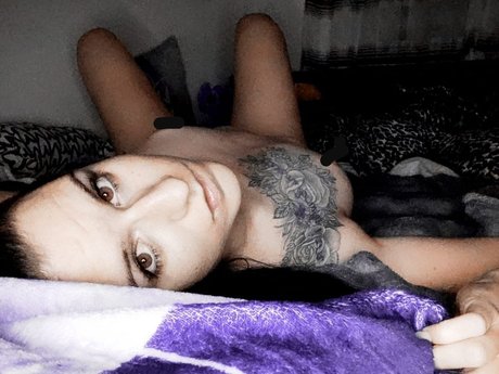 Disi