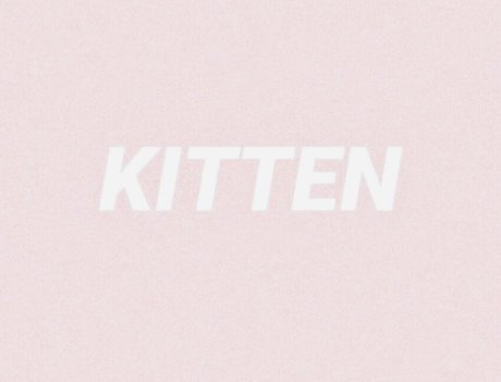 Foto desnuda filtrada de OnlyFans de Kitten