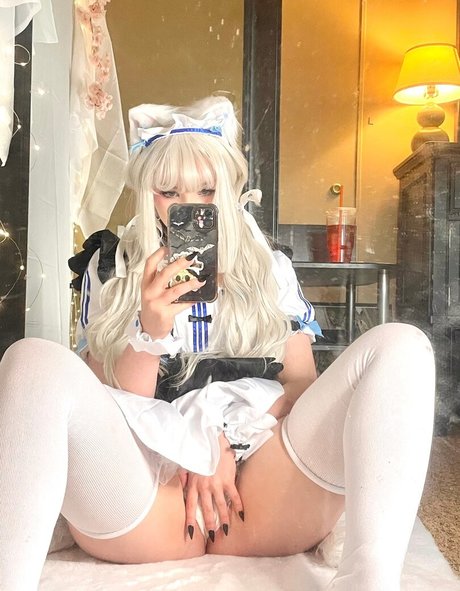 Pockycats