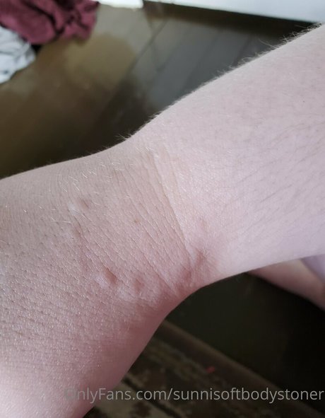 Sunnisoftbodystoner