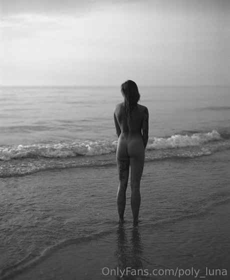 Poly_luna