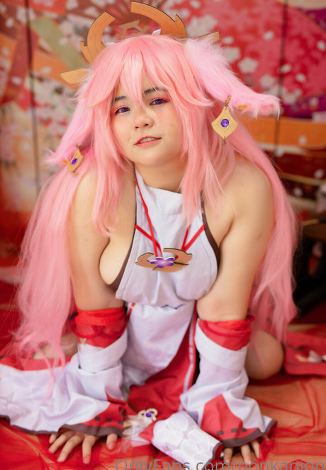 Ponkapion