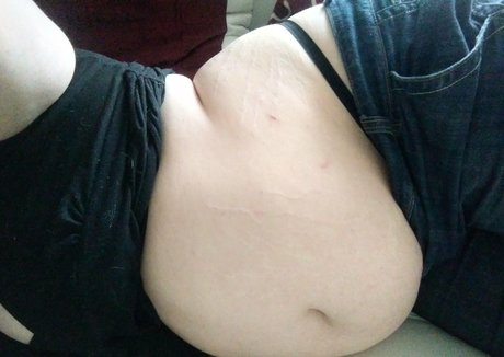 Phoebefatter