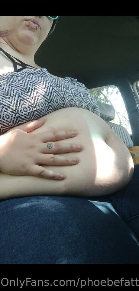 Phoebefatter
