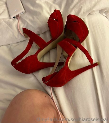 Sophiaroseisreal