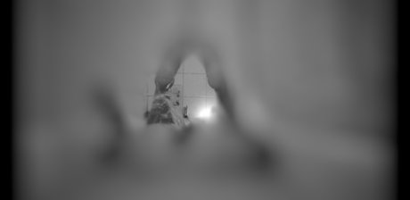 Foto desnuda filtrada de OnlyFans de B E L L A