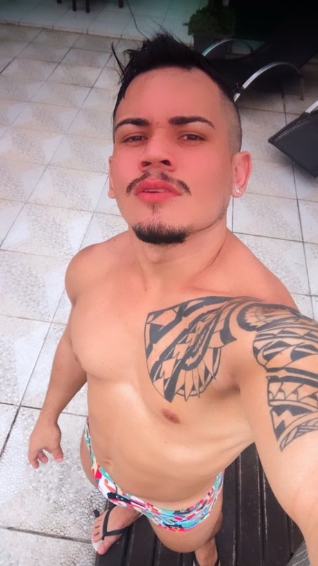 Aslanfalcom