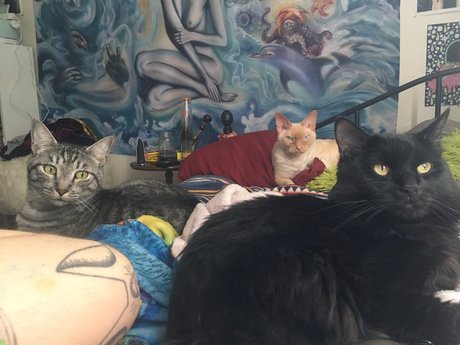 Foto desnuda filtrada de OnlyFans de Jiggy Cat Tribe Asmr
