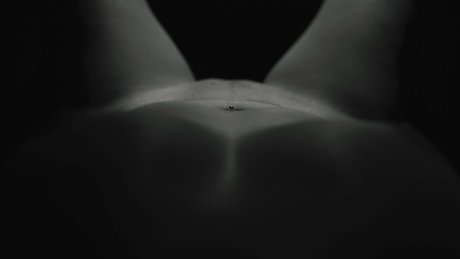 Mophotopt