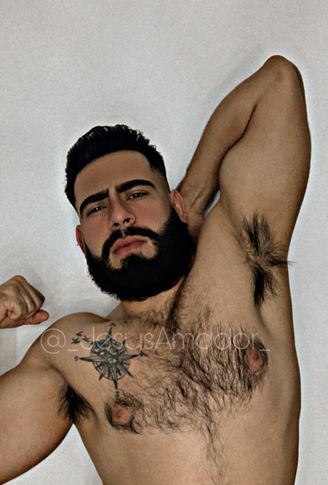 Jess Amador Lobo De Sinaloa