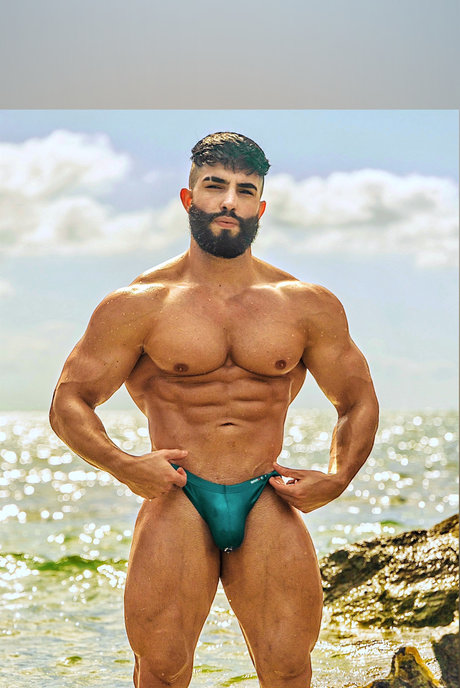 Mr Miami