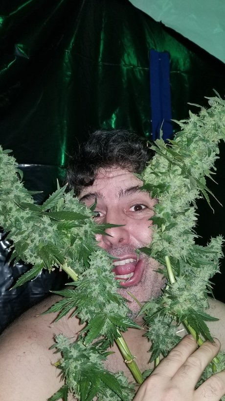 Al13n