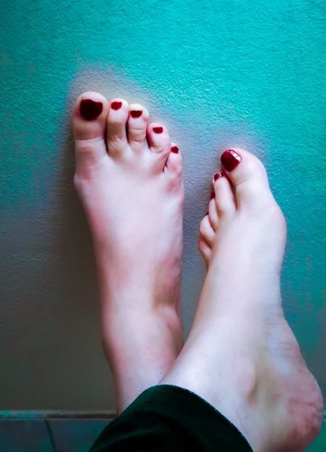 Florci
