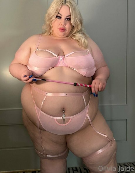 Oliviajaide