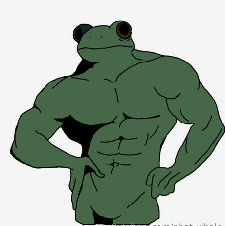 Phat_whale