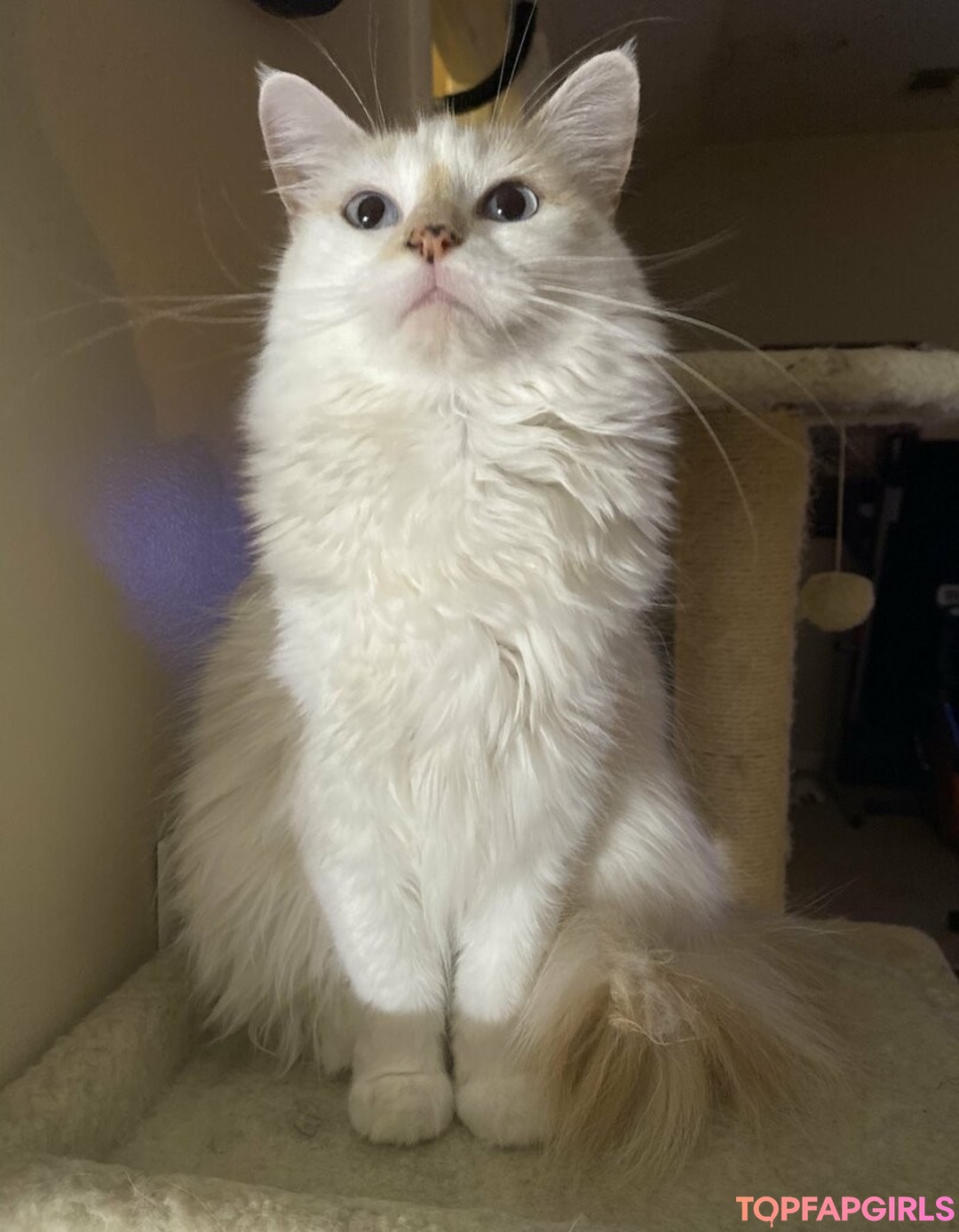 Foto desnuda filtrada de OnlyFans de Savanahroses #50 Foto desnuda filtrada de OnlyFans de Savanahroses #50