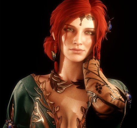 The Witcher