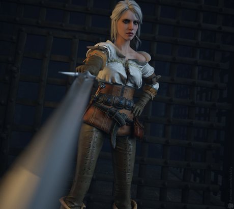 The Witcher