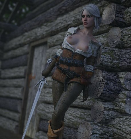 The Witcher