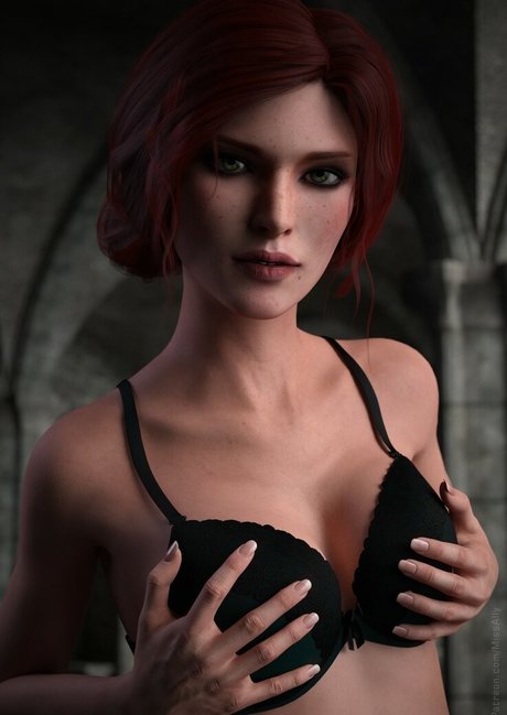 The Witcher