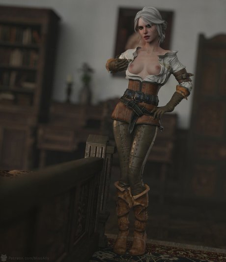 The Witcher