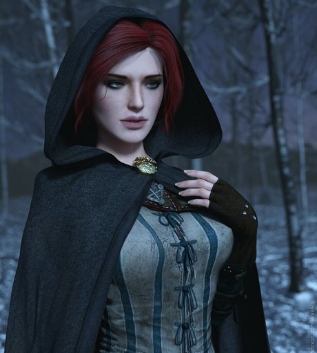 The Witcher