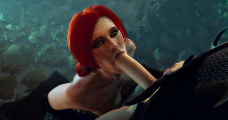 The Witcher