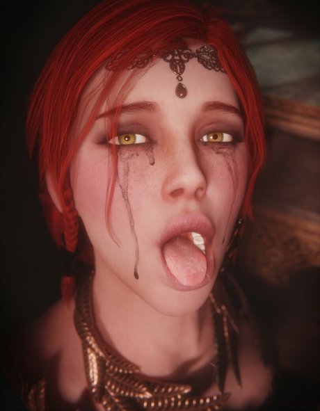 The Witcher
