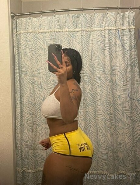 Nevvycakes