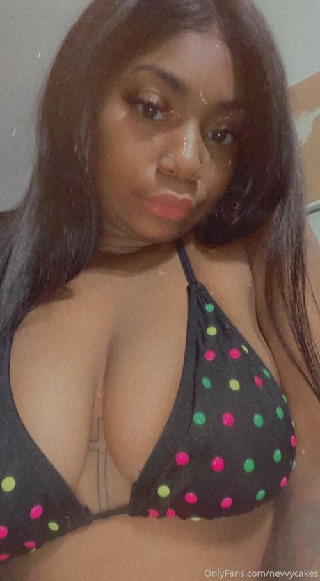 Nevvycakes