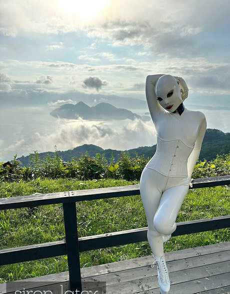 Siron_latex
