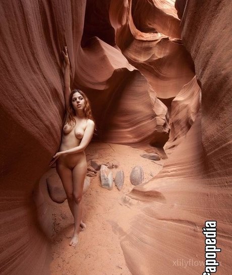 Foto desnuda filtrada de OnlyFans de Xlilyflowersx