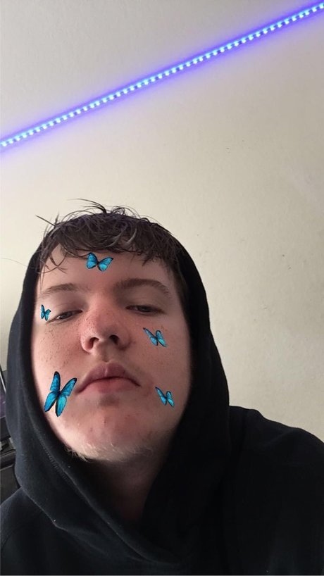 Dxvidtyson 