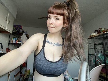 Gabbidoesit