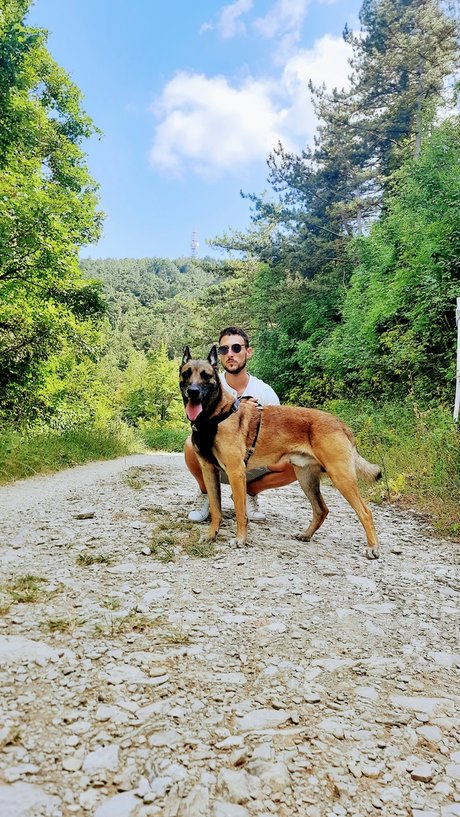 Gb Dog Trainer