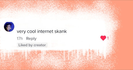 Foto desnuda filtrada de OnlyFans de Internet Skank