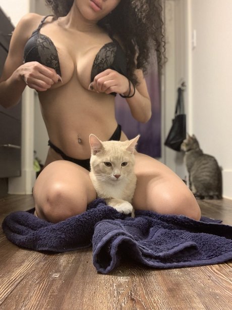 Nalakitty