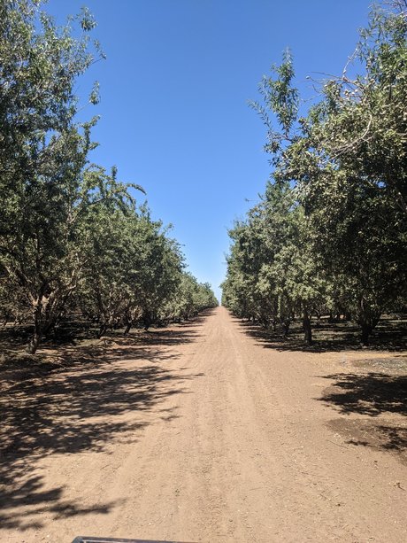 Foto desnuda filtrada de OnlyFans de Farmer Adam