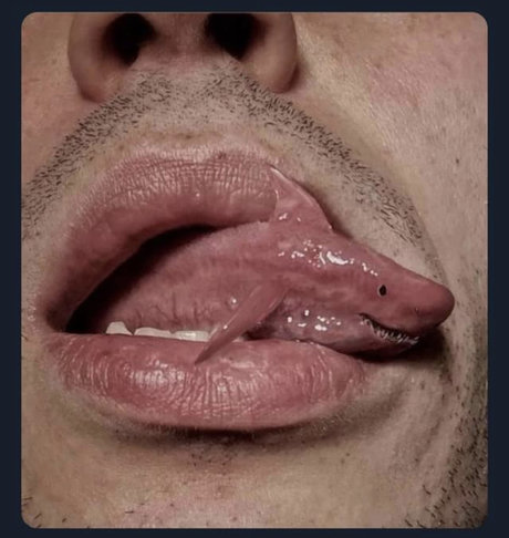 Colechino