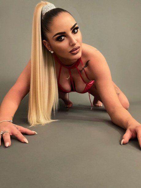 Candy   Damn