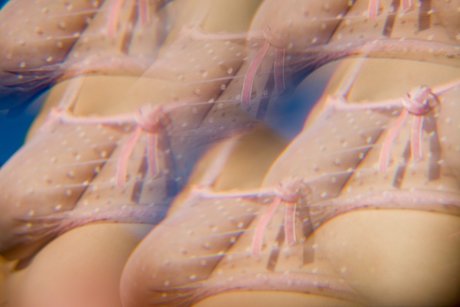 Foto desnuda filtrada de OnlyFans de Dafne Fairy