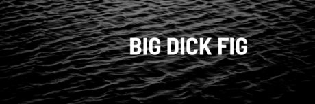 Foto desnuda filtrada de OnlyFans de Bigdickfig