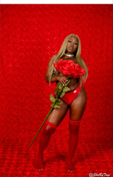Candyladi 