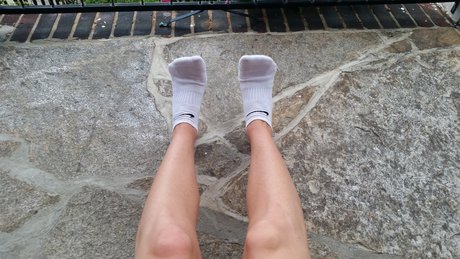 Camtastical Socks