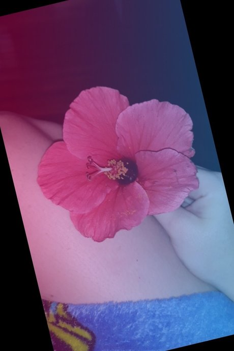 Foto desnuda filtrada de OnlyFans de Nicki Dice