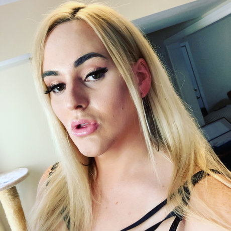 Nikajamests