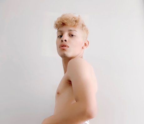 Aimer Lapollo