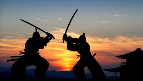 Ninjashaft