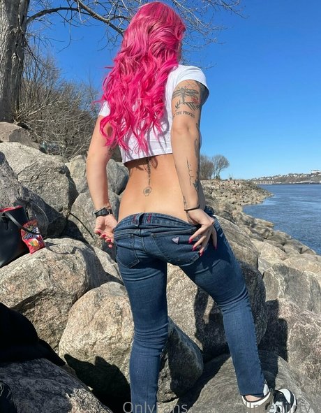Layrose1