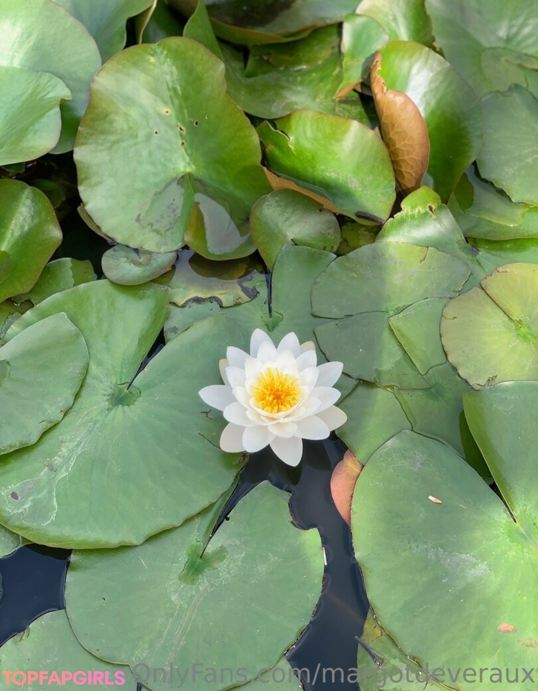 Foto desnuda filtrada de OnlyFans de Margotdeveraux #58 Foto desnuda filtrada de OnlyFans de Margotdeveraux #58